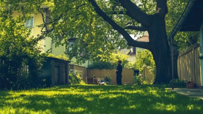 Streit an der Grundstücksgrenze: Das sollten Eigentümer wissen